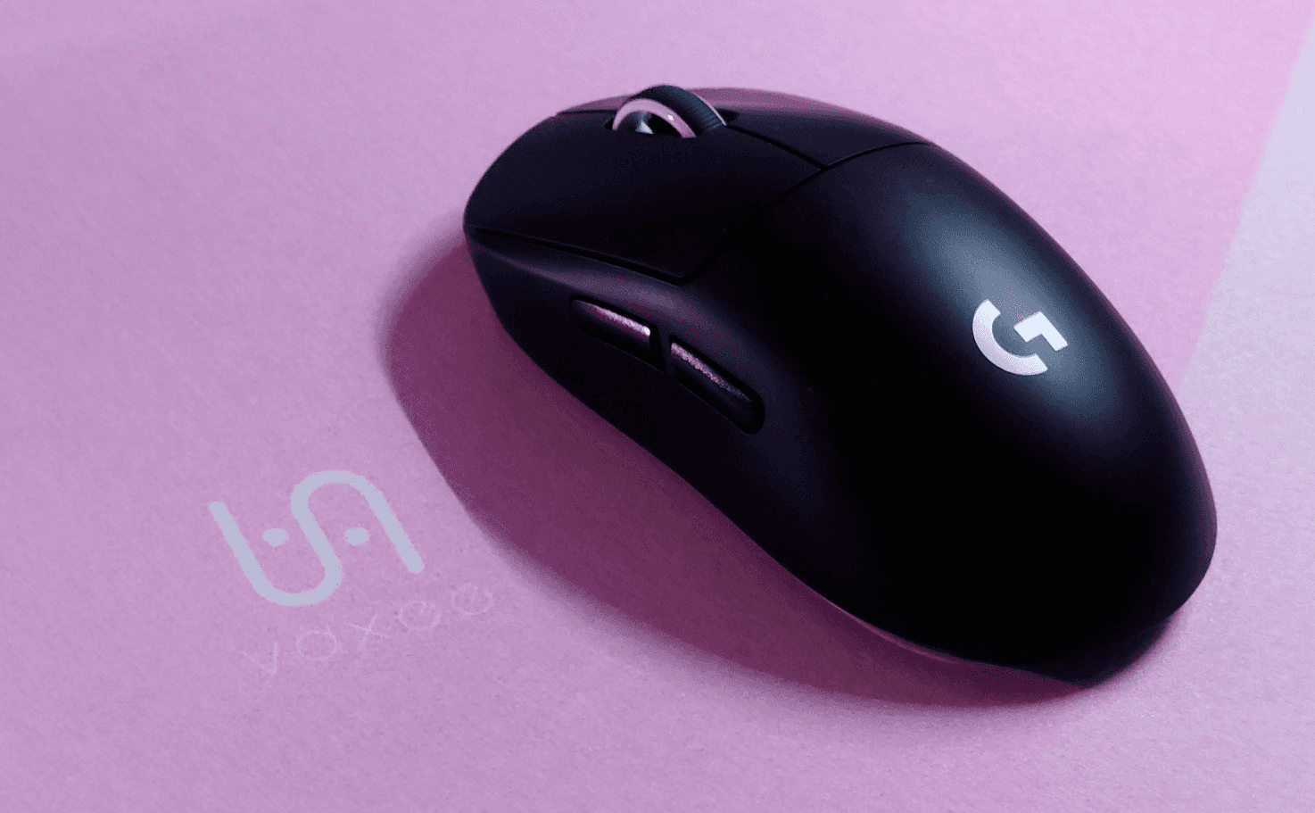 mouse